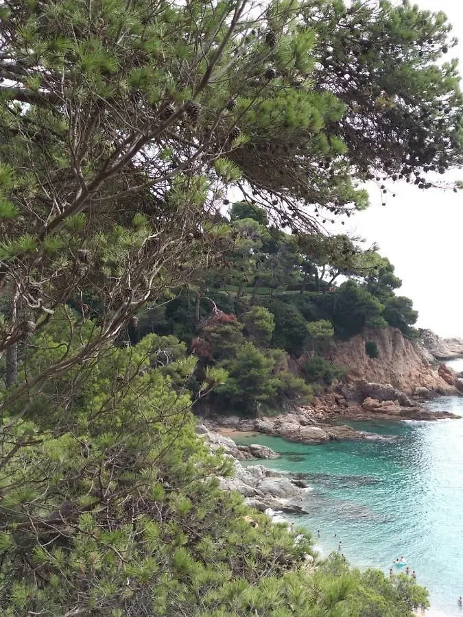 Cala Salions Hotel Tossa de Mar 0*,  Spain