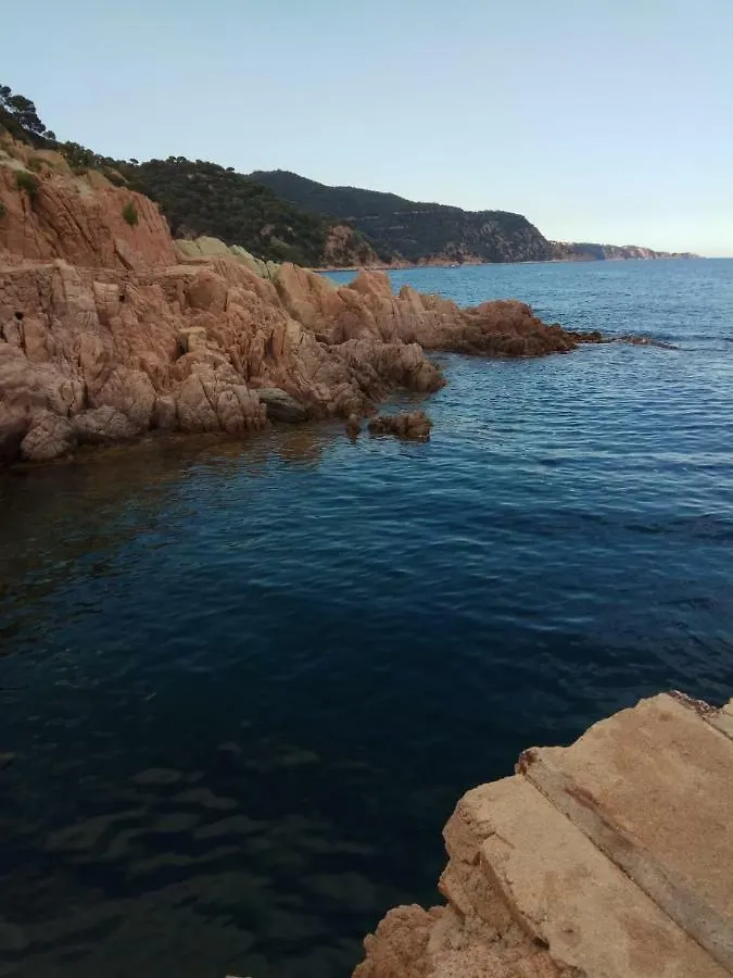 Apartment Cala Salions Hotel Tossa de Mar Spain