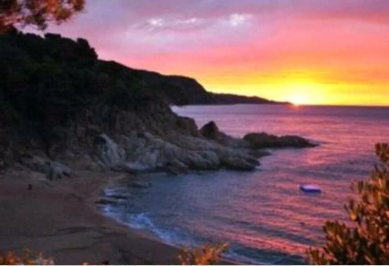 Cala Salions Hotel Tossa de Mar Spain